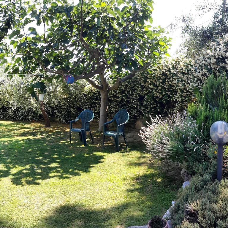 B&B L'Albero Di Antonia Atri Zewnętrze zdjęcie