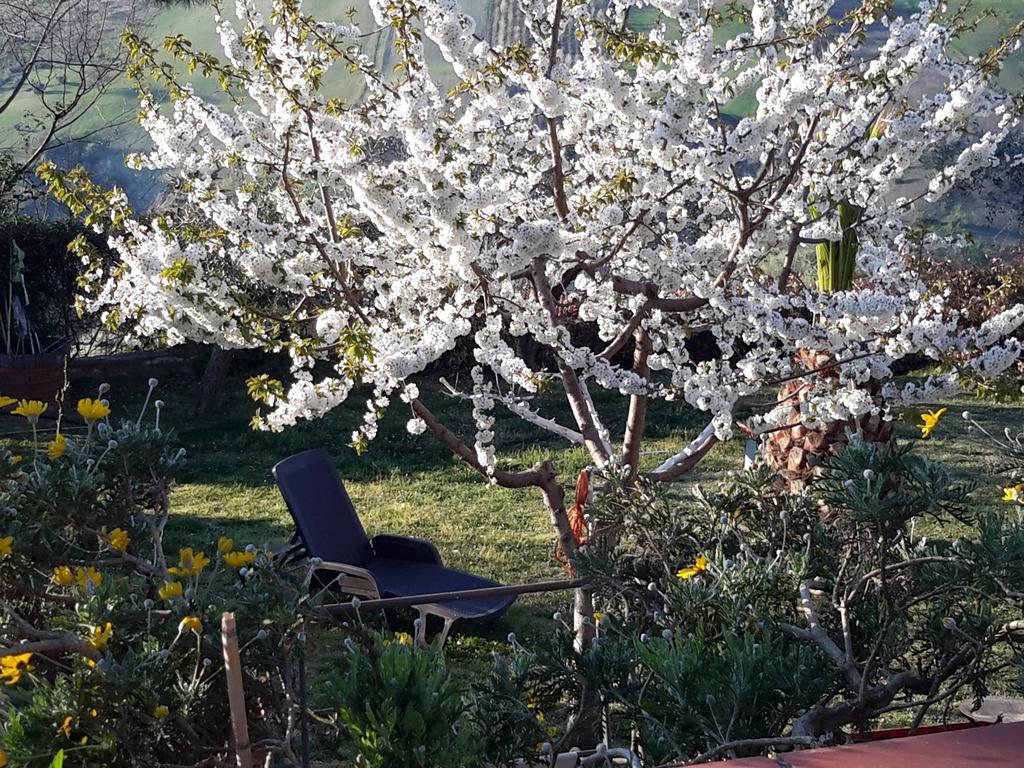 B&B L'Albero Di Antonia Atri Zewnętrze zdjęcie